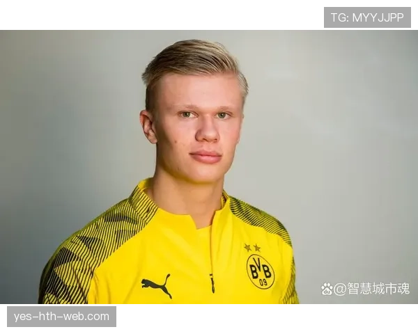 哈兰德与本泽马的终结效率和技术参与度差异解析